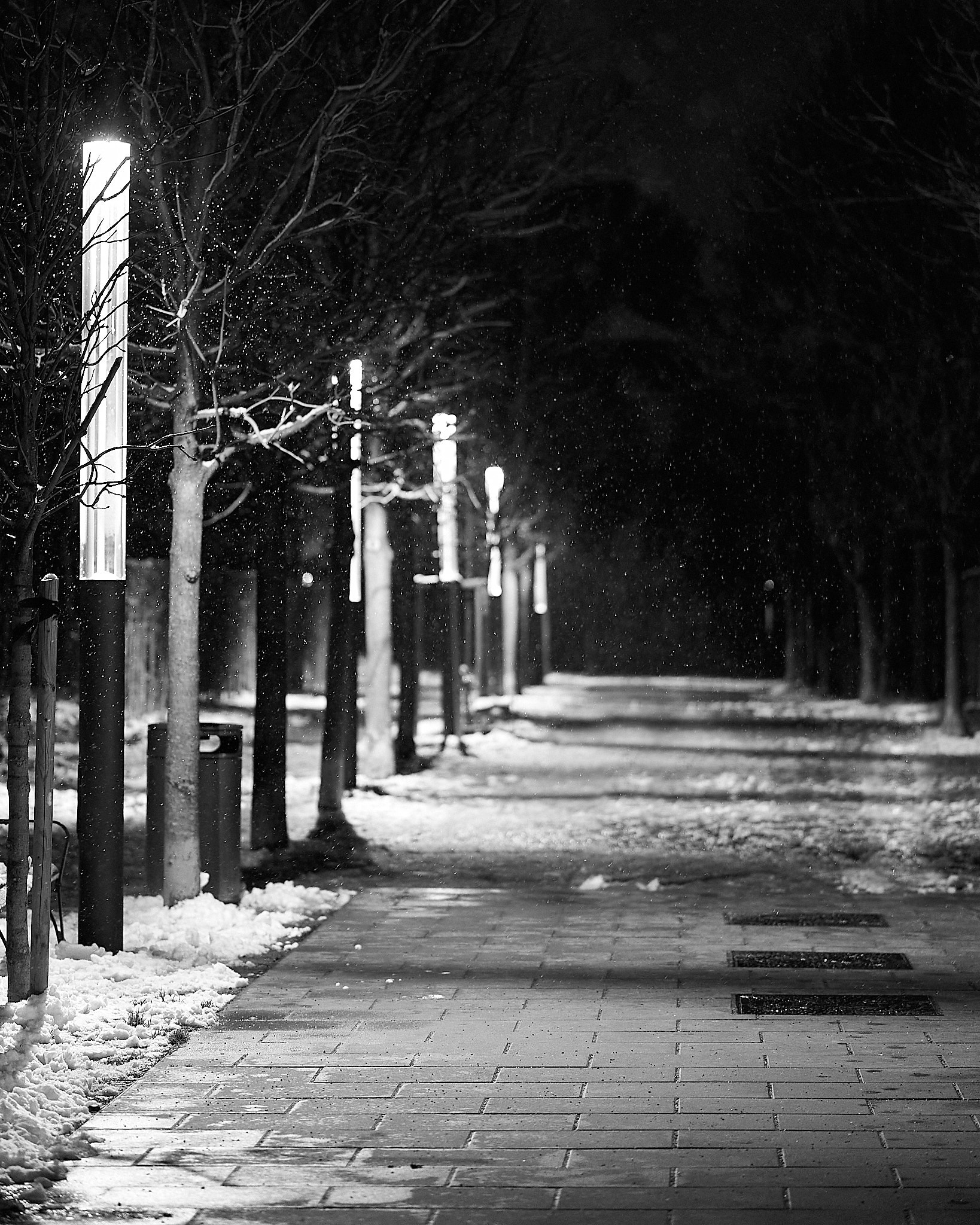 A black and white photo showcasing a snow-lined pedestrian pathway at night. The path is illuminated by a series of tall, slender street lamps casting bright light spots on the ground. Snowflakes are visible in the air, 